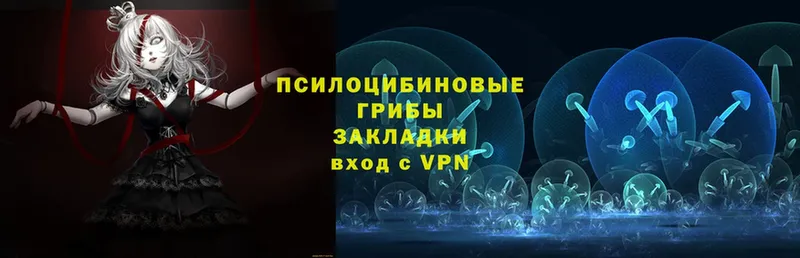 купить  сайты  hydra ссылка  Псилоцибиновые грибы Psilocybe  Пошехонье 